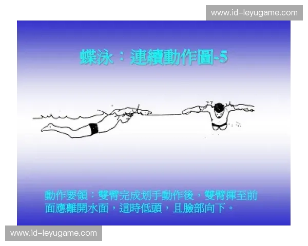 游泳规则解读：如何在水中尽情驰骋